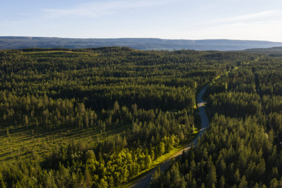 Drönarbild över landsväg i Norrland