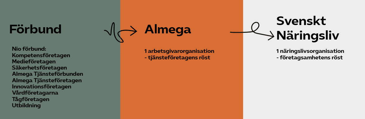 Bild som visar Almegas förbund, Almega och Svenskt näringsliv med sammanbindande pilar emellan.