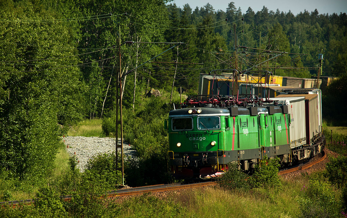 Godståg åker i lövskog