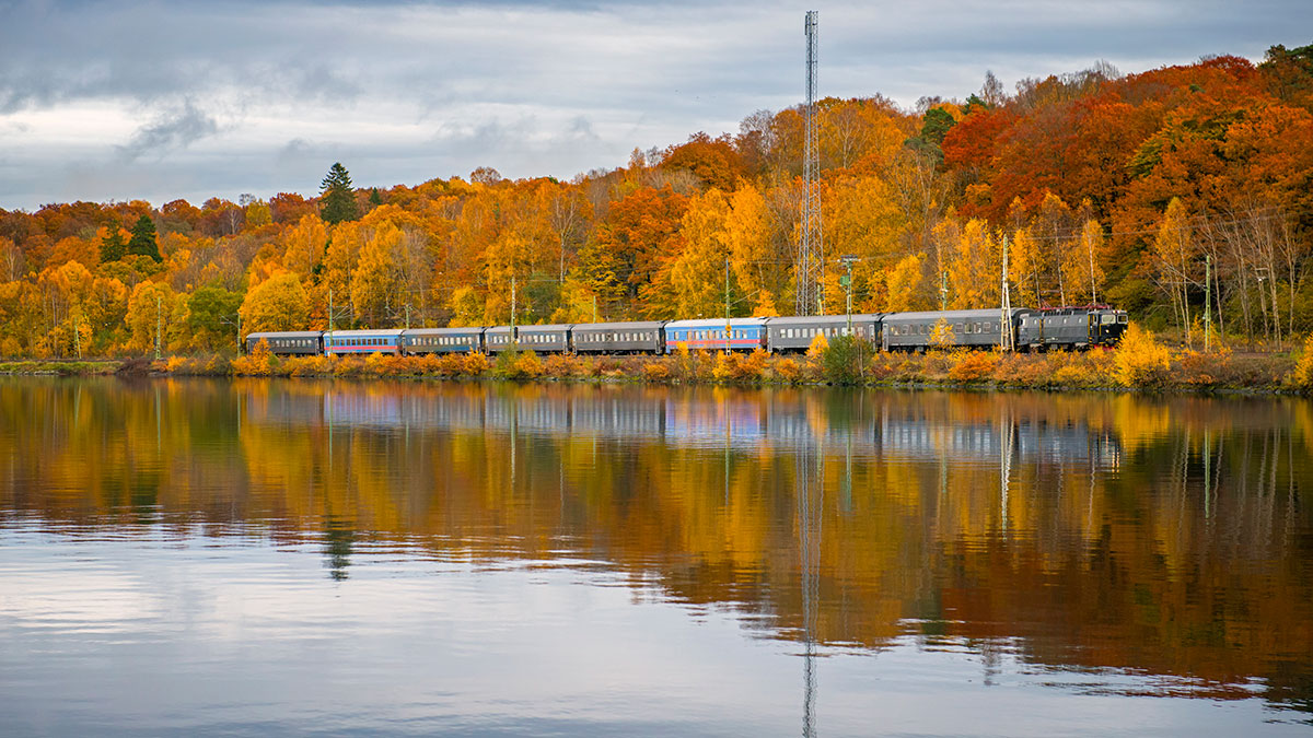 tåg vid sjö och höstskog
